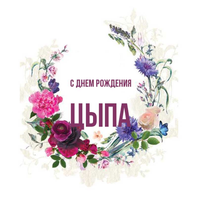 Картинка С днем рождения, Цыпа