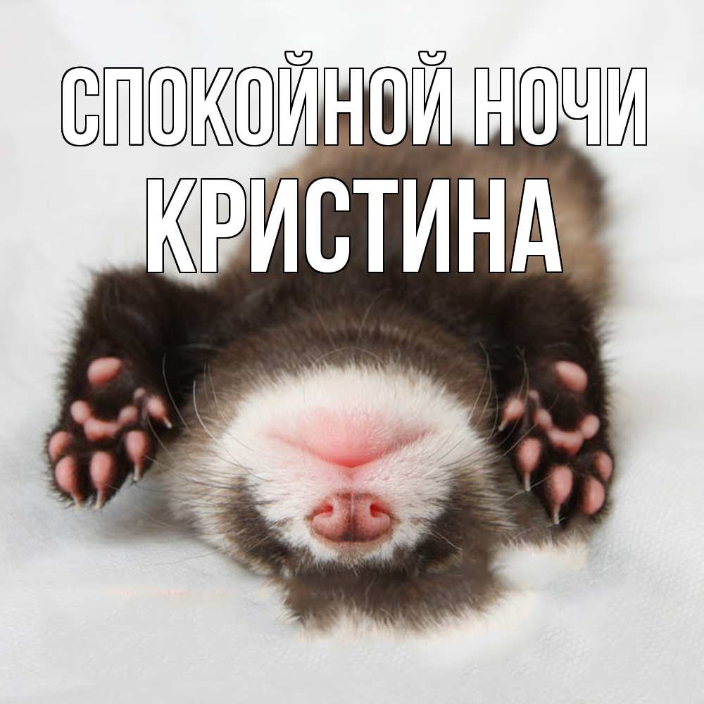 Открытка на каждый день с именем, Кристина Спокойной ночи зверек Прикольная открытка с пожеланием онлайн скачать бесплатно 