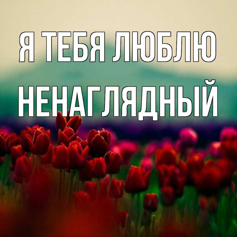 Картинка Я тебя люблю, Ненаглядный