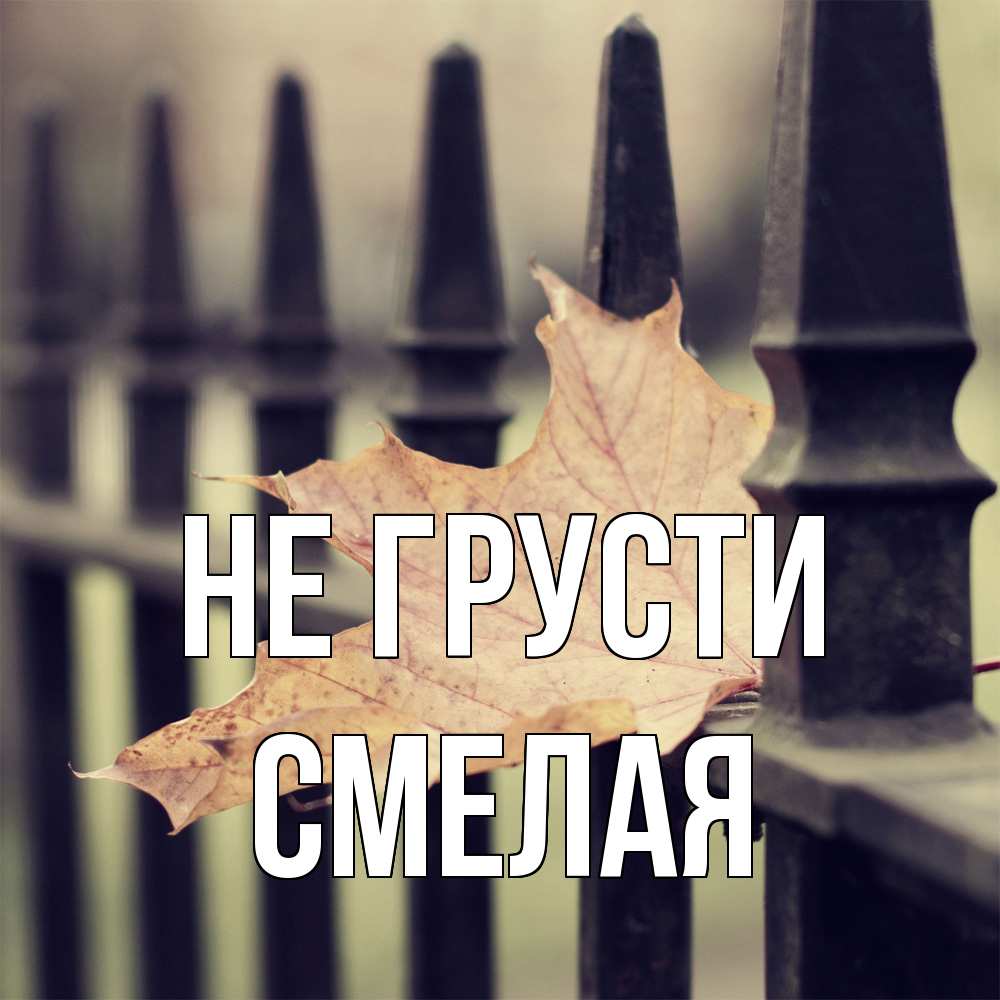 Открытка на каждый день с именем, Смелая Не грусти лист клена Прикольная открытка с пожеланием онлайн скачать бесплатно 