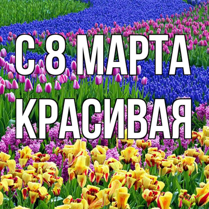 Картинка C 8 МАРТА, Красивая