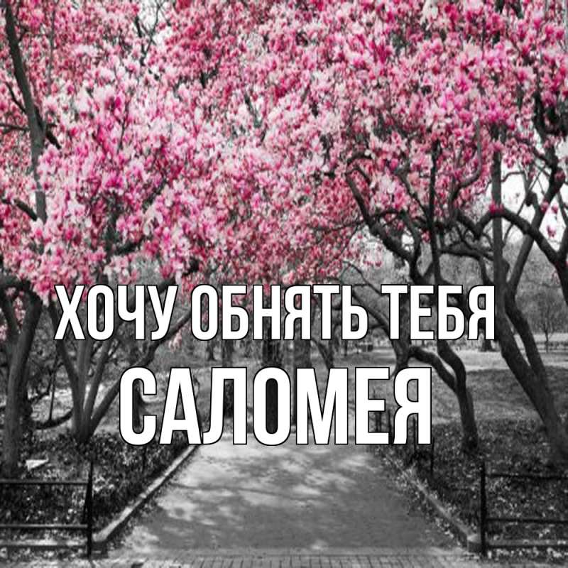 Картинка Хочу обнять тебя, Саломея