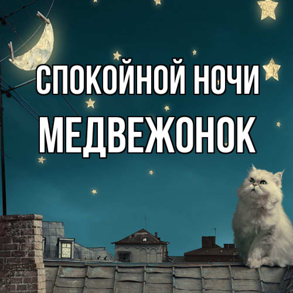 Открытка на каждый день с именем, медвежонок Спокойной ночи белый кот сидит на крыше Прикольная открытка с пожеланием онлайн скачать бесплатно 