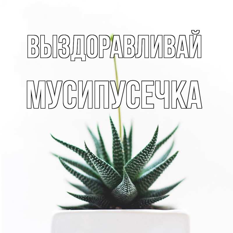 Картинка Выздоравливай, Мусипусечка