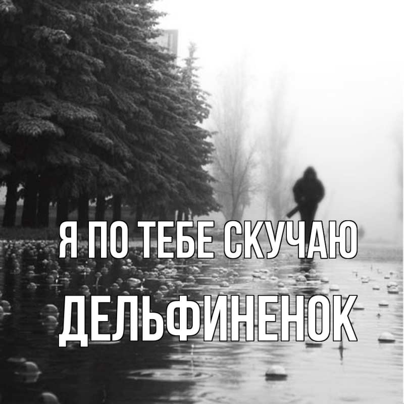 Картинка Я по тебе скучаю, дельфиненок