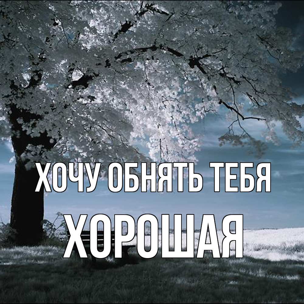 Открытка на каждый день с именем, Хоpошая Хочу обнять тебя дерево Прикольная открытка с пожеланием онлайн скачать бесплатно 