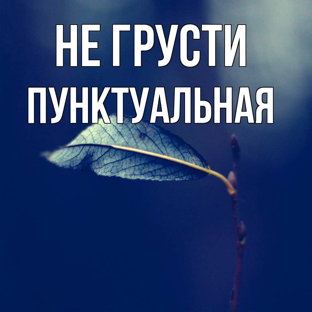 Открытка на каждый день с именем, пунктуальная Не грусти растение Прикольная открытка с пожеланием онлайн скачать бесплатно 