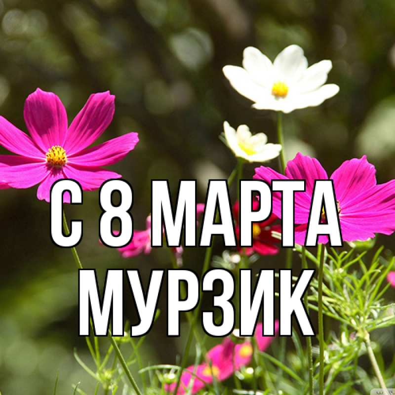 Картинка C 8 МАРТА, Муpзик
