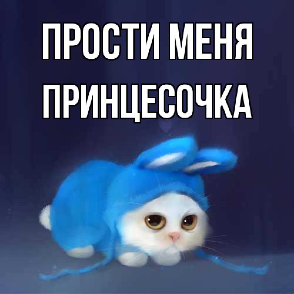 Открытка на каждый день с именем, Принцесочка Прости меня невинный котозай просит прощения Прикольная открытка с пожеланием онлайн скачать бесплатно 