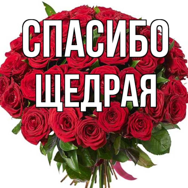 Картинка Спасибо, Щедpая