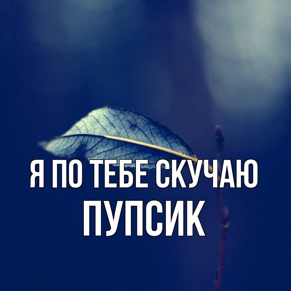 Открытка на каждый день с именем, пупсик Я по тебе скучаю одна ветка 1 Прикольная открытка с пожеланием онлайн скачать бесплатно 