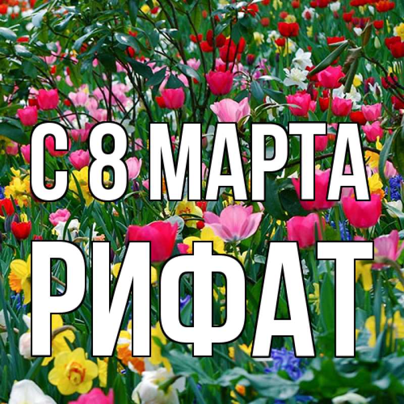 Картинка C 8 МАРТА, Рифат