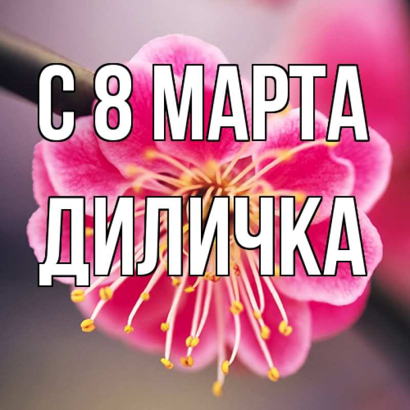 Картинка C 8 МАРТА, Диличка