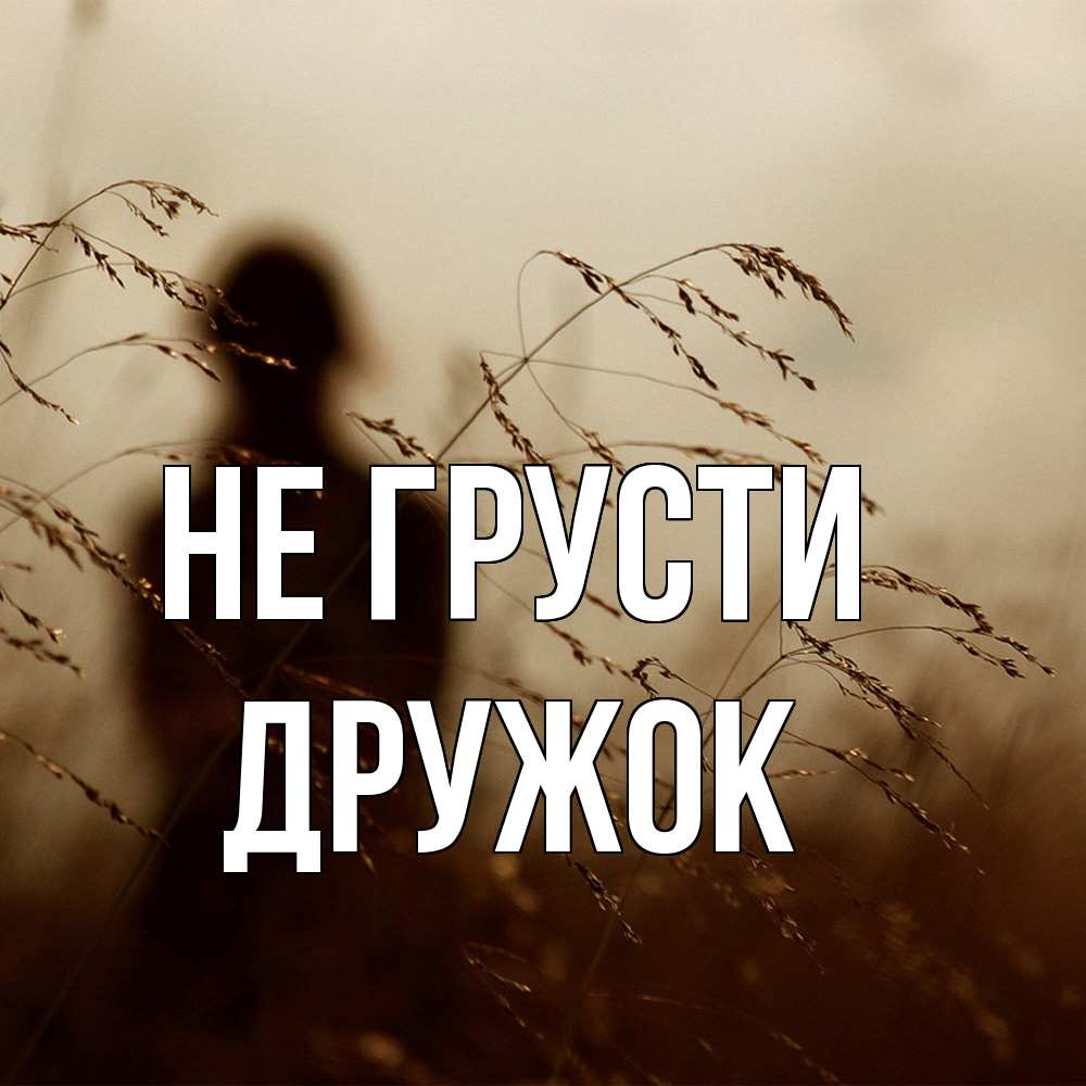 Открытка на каждый день с именем, Дружок Не грусти грусть Прикольная открытка с пожеланием онлайн скачать бесплатно 