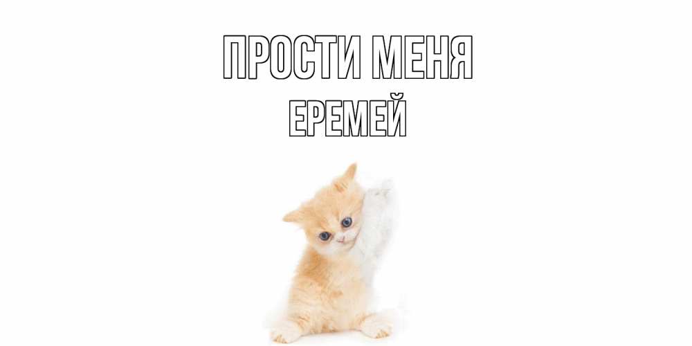 Открытка на каждый день с именем, Еремей Прости меня кот Прикольная открытка с пожеланием онлайн скачать бесплатно 