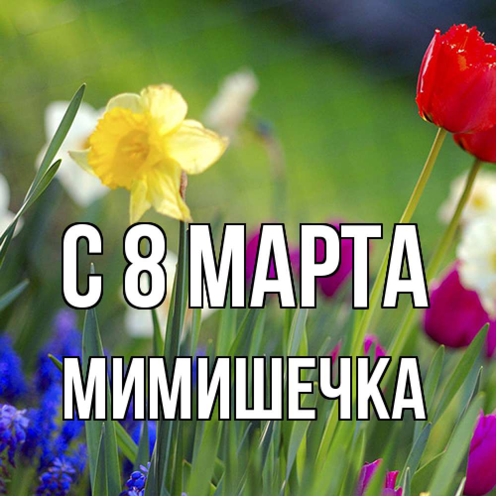 Открытка на каждый день с именем, мимишечка C 8 МАРТА международный женский день 3 Прикольная открытка с пожеланием онлайн скачать бесплатно 