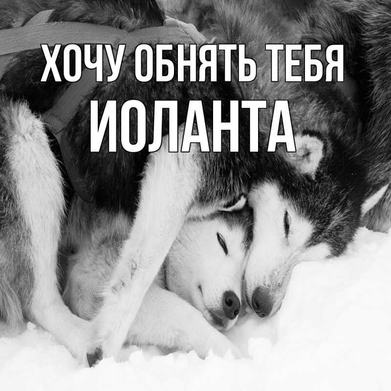 Картинка Хочу обнять тебя, Иоланта