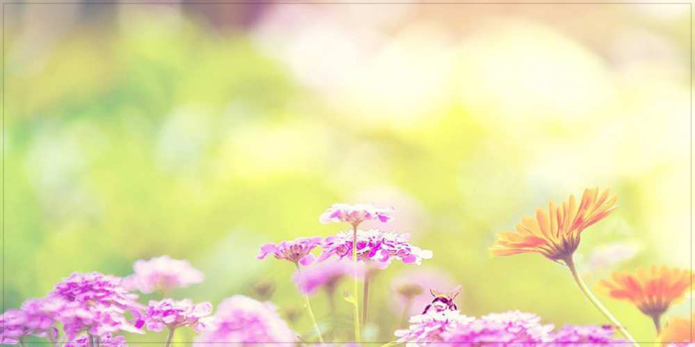 Открытка на каждый день с именем, Цветочек Удачного дня красивая открытка с летней темой Прикольная открытка с пожеланием онлайн скачать бесплатно 