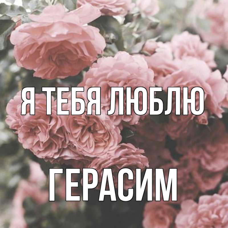 Картинка Я тебя люблю, Герасим