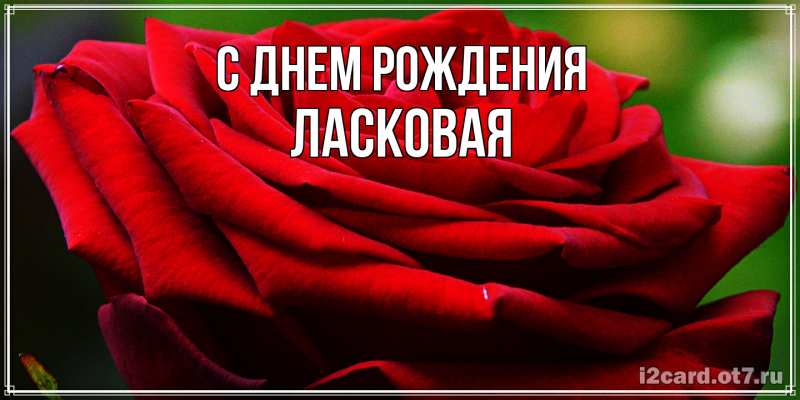 Картинка С днем рождения, Ласковая
