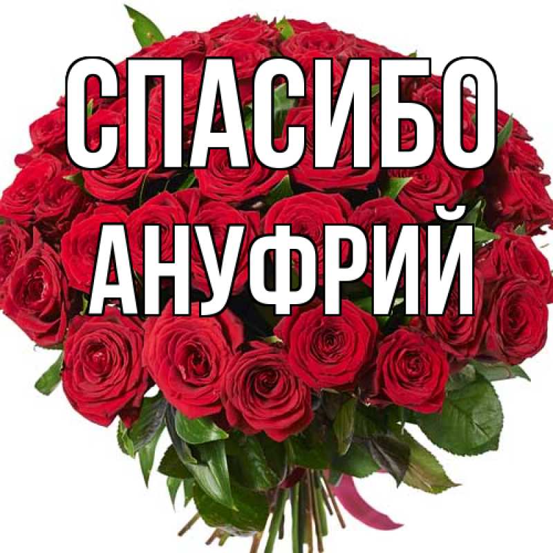 Картинка Спасибо, Ануфрий
