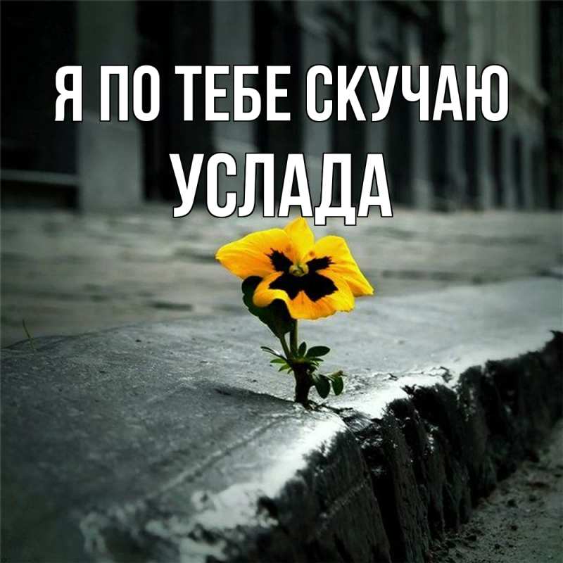 Картинка Я по тебе скучаю, услада
