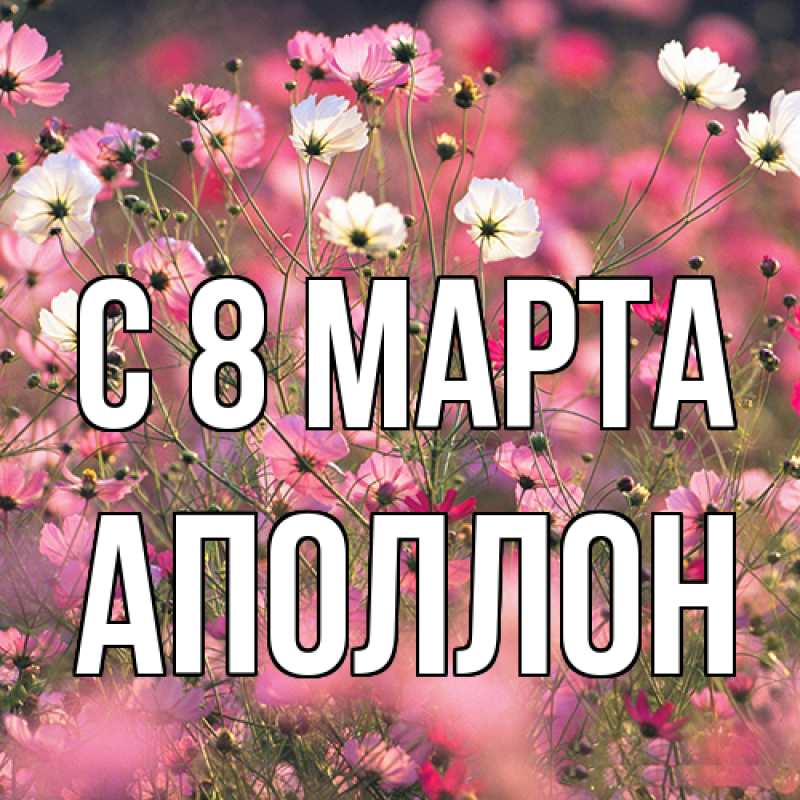 Картинка C 8 МАРТА, Аполлон