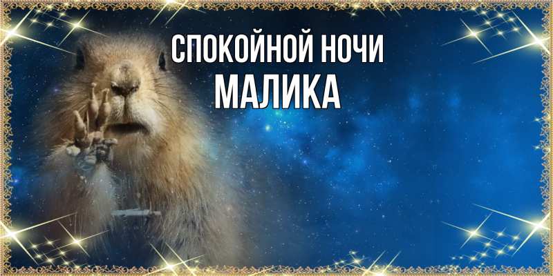 Картинка Спокойной ночи, Малика