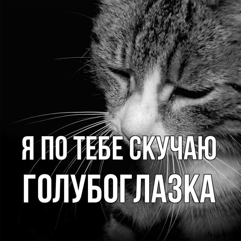 Картинка Я по тебе скучаю, Голубоглазка