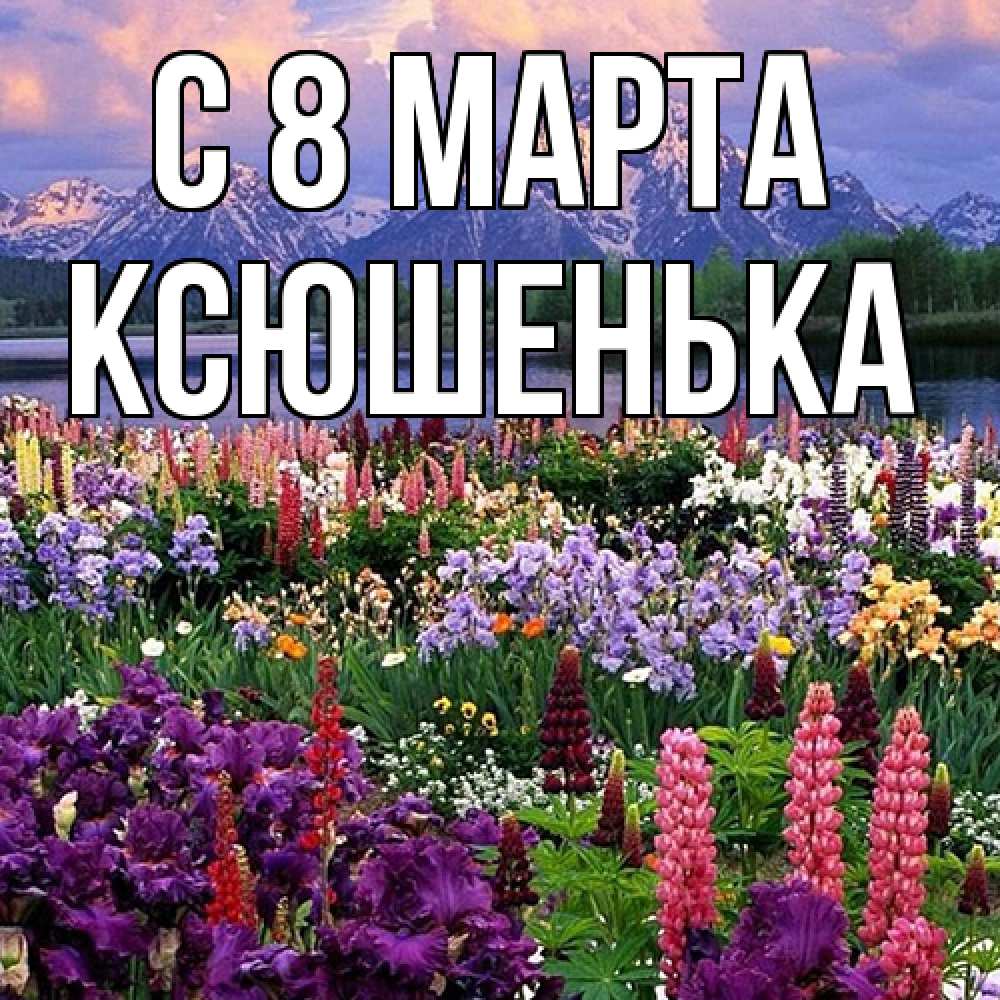 Открытка на каждый день с именем, Ксюшенька C 8 МАРТА международный женский день Прикольная открытка с пожеланием онлайн скачать бесплатно 