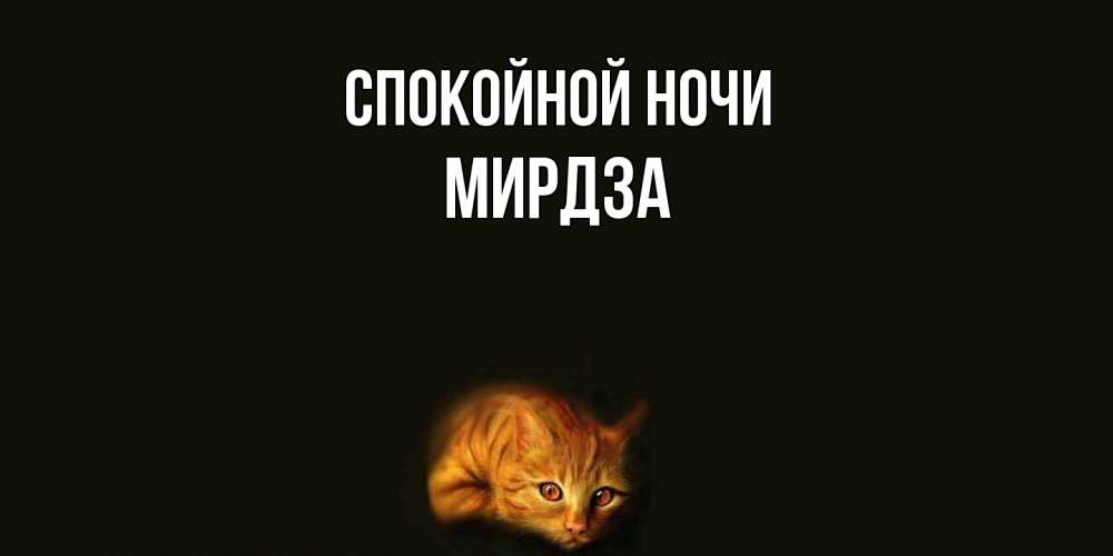 Открытка на каждый день с именем, Мирдза Спокойной ночи кот Прикольная открытка с пожеланием онлайн скачать бесплатно 