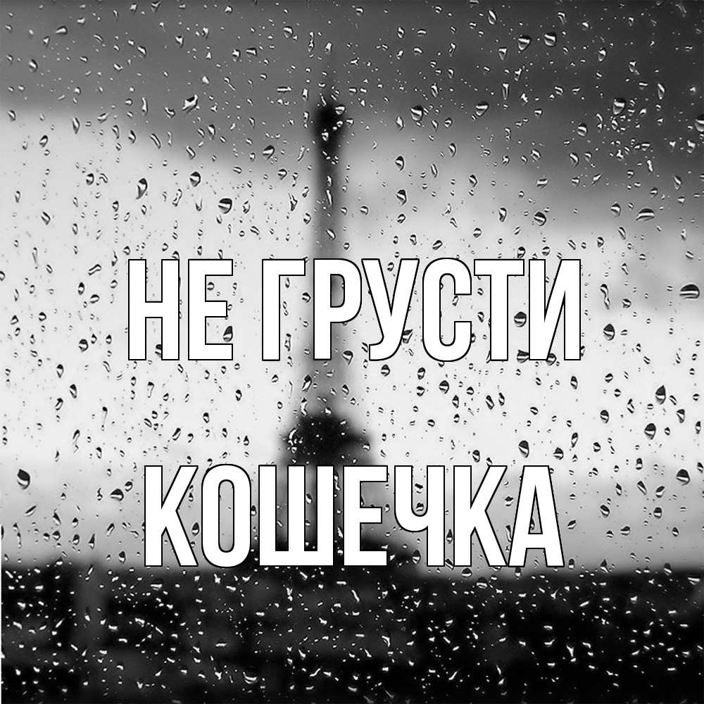 Открытка на каждый день с именем, кошечка Не грусти Париж и Эйфелева башня Прикольная открытка с пожеланием онлайн скачать бесплатно 