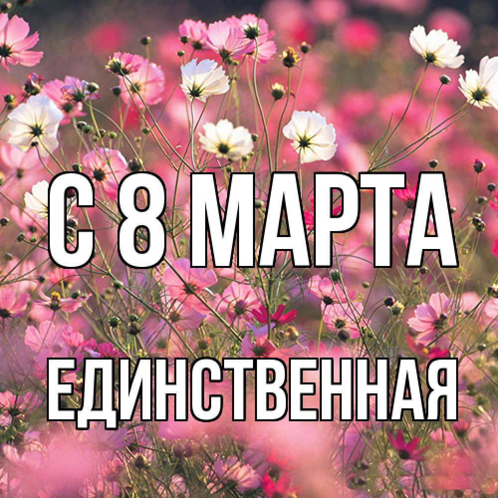 Открытка на каждый день с именем, Единственная C 8 МАРТА красиво 1 Прикольная открытка с пожеланием онлайн скачать бесплатно 