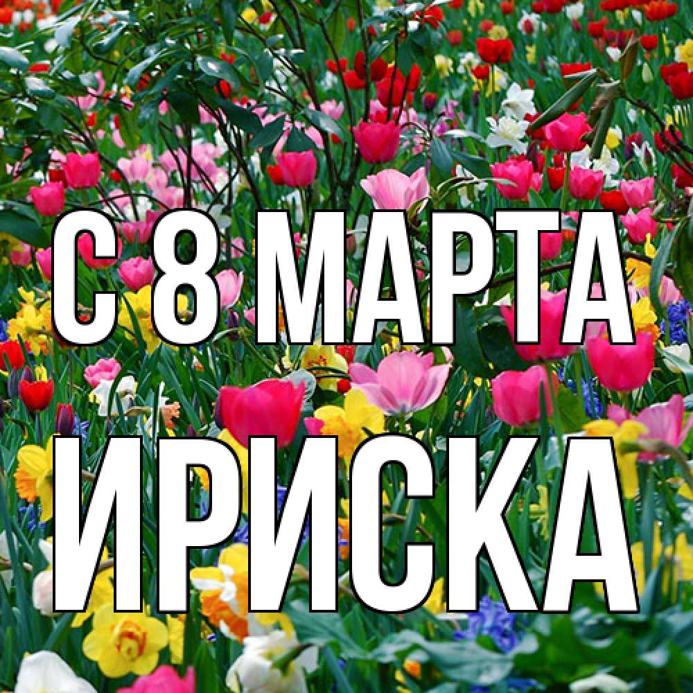 Открытка на каждый день с именем, ириска C 8 МАРТА с международным женским днем поздравления для женщины Прикольная открытка с пожеланием онлайн скачать бесплатно 