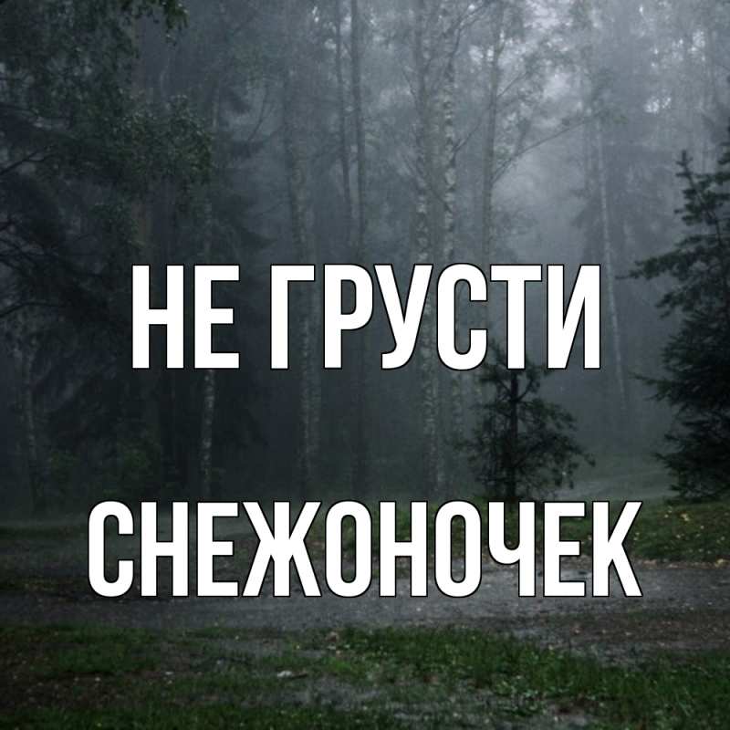 Картинка Не грусти, Снежоночек