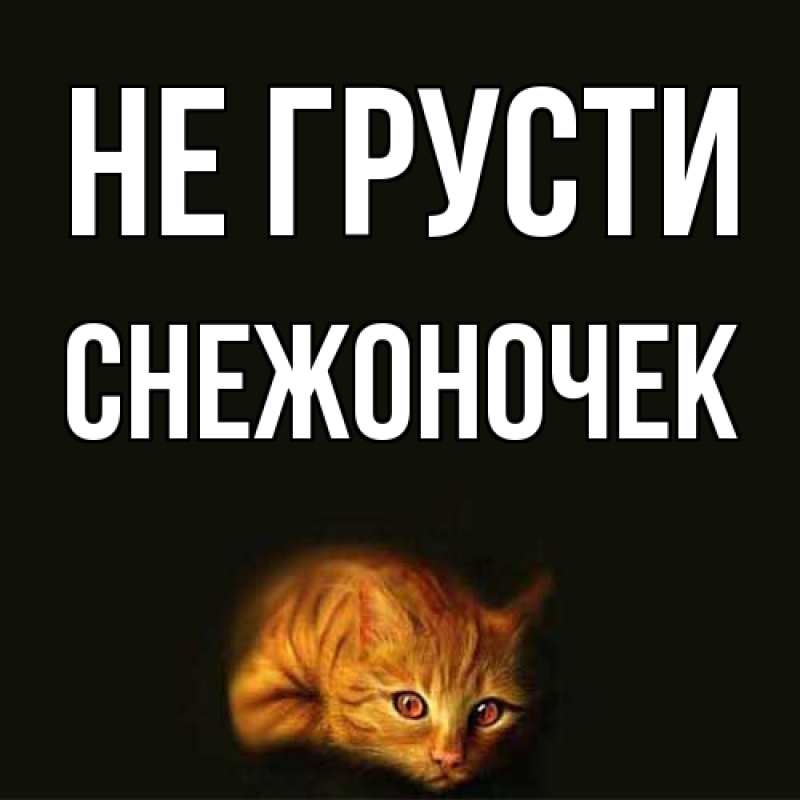 Картинка Не грусти, Снежоночек