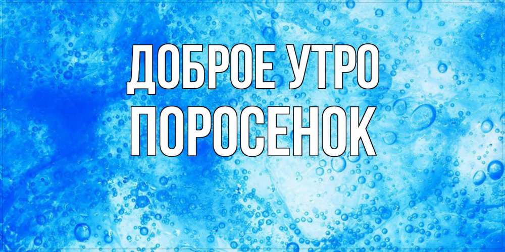 Открытка на каждый день с именем, Поросенок Доброе утро хорошее утро под водой Прикольная открытка с пожеланием онлайн скачать бесплатно 