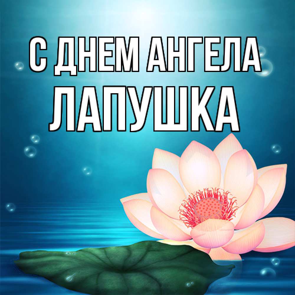 Открытка на каждый день с именем, лапушка С днем ангела кувшинка Прикольная открытка с пожеланием онлайн скачать бесплатно 