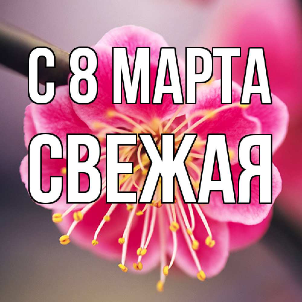 Открытка на каждый день с именем, Свежая C 8 МАРТА цветы Прикольная открытка с пожеланием онлайн скачать бесплатно 