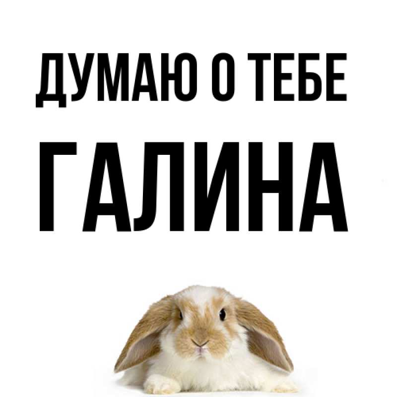 Картинка Думаю о тебе, галина