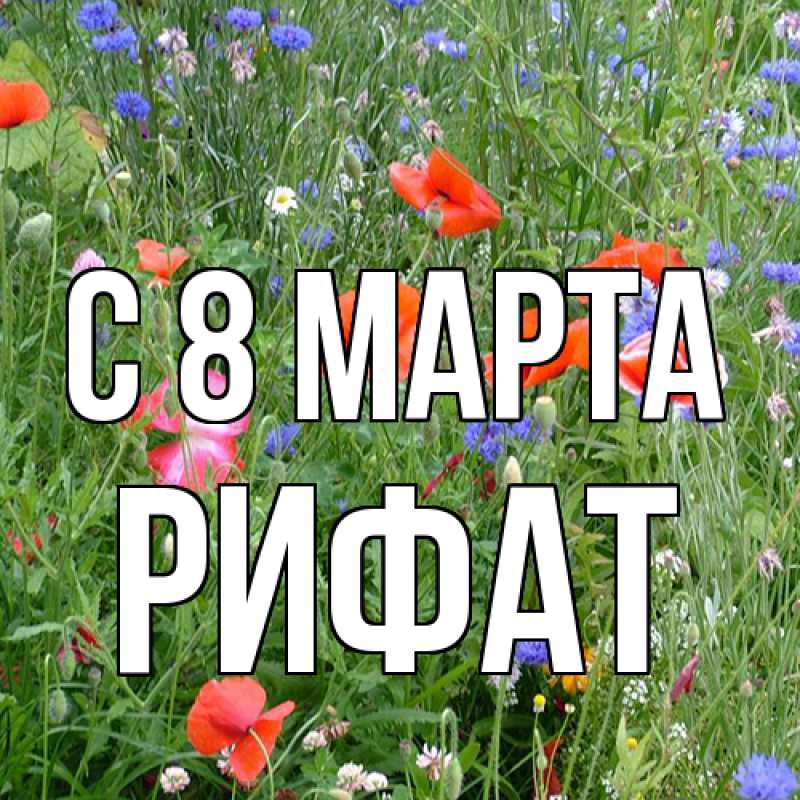 Картинка C 8 МАРТА, Рифат
