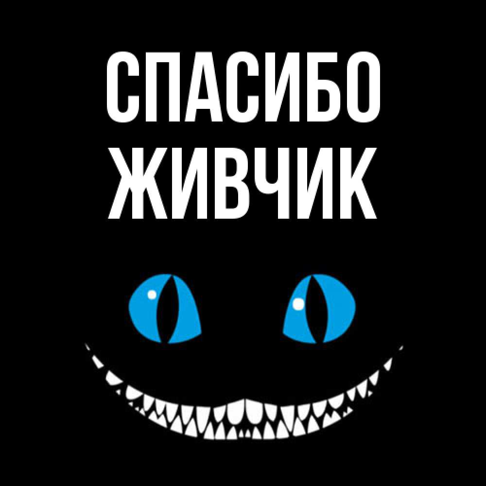 Открытка на каждый день с именем, Живчик Спасибо благодарю от чеширика Прикольная открытка с пожеланием онлайн скачать бесплатно 