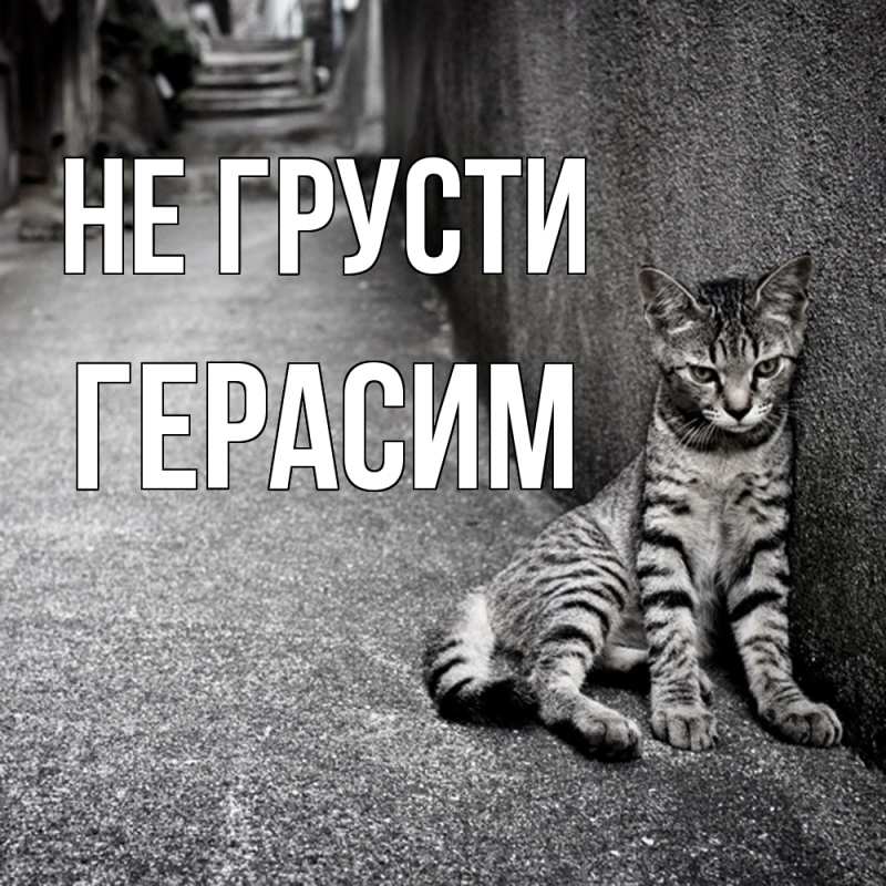 Картинка Не грусти, Герасим