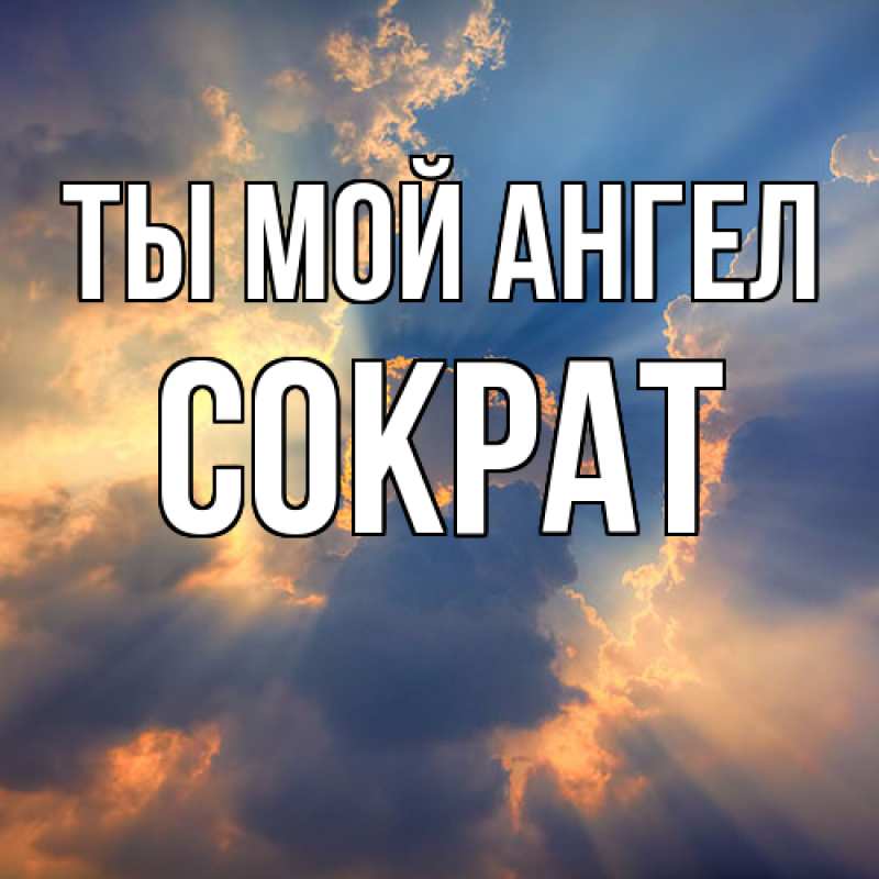 Картинка Ты мой ангел, Сократ