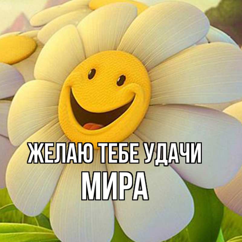 Картинка Желаю тебе удачи, Мира