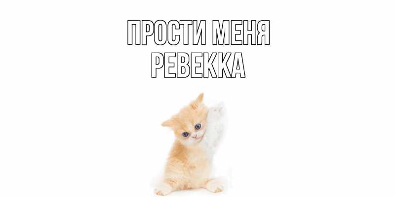 Картинка Прости меня, Ревекка