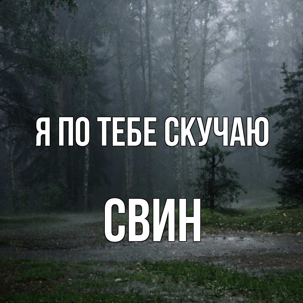 Открытка на каждый день с именем, Свин Я по тебе скучаю одна и плохо мне Прикольная открытка с пожеланием онлайн скачать бесплатно 