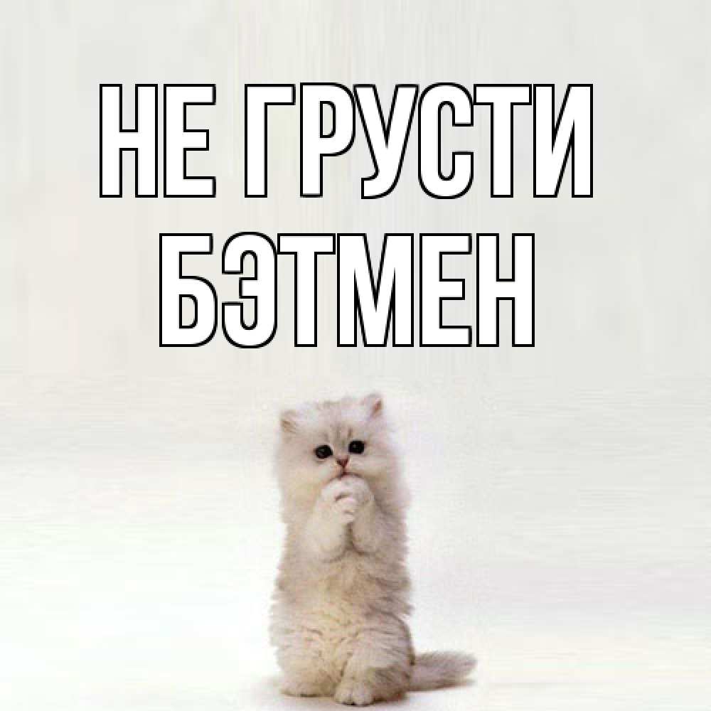 Открытка на каждый день с именем, Бэтмен Не грусти грустный кот Прикольная открытка с пожеланием онлайн скачать бесплатно 