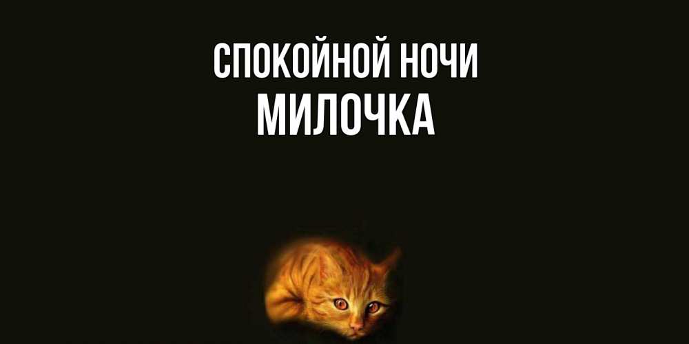 Открытка на каждый день с именем, Милочка Спокойной ночи кот Прикольная открытка с пожеланием онлайн скачать бесплатно 