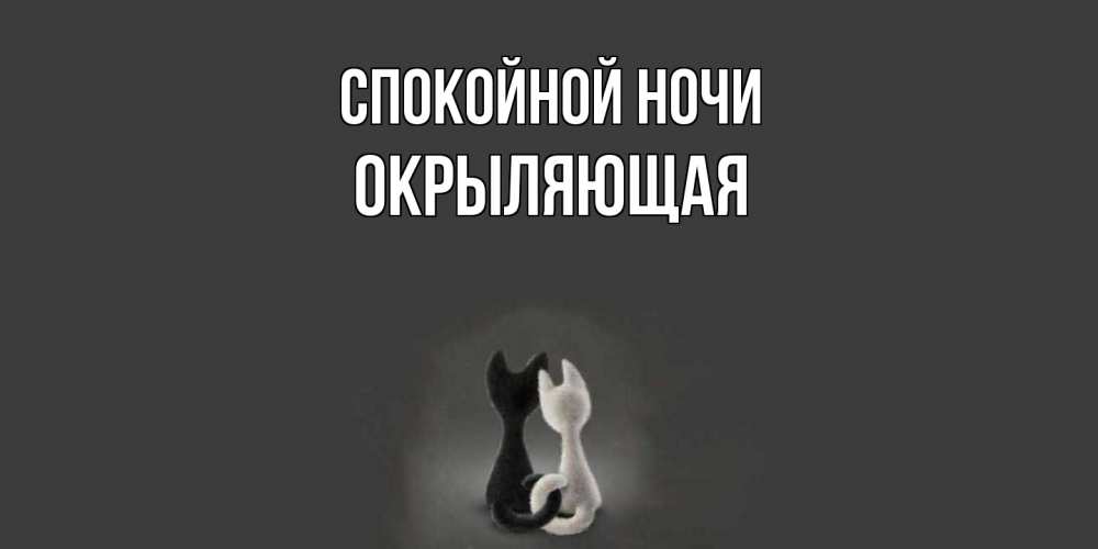 Открытка на каждый день с именем, окрыляющая Спокойной ночи коты Прикольная открытка с пожеланием онлайн скачать бесплатно 